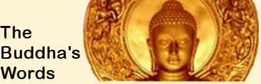The Buddha's Words logo